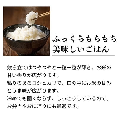 【毎月定期便】新潟県糸魚川産コシヒカリ 2kg 農家自慢の特選米『ひすいの里』全12回