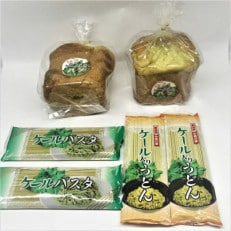 【セット品】ケール入りパスタ2個・ケール入りうどん2個・ケール入り食パン2袋