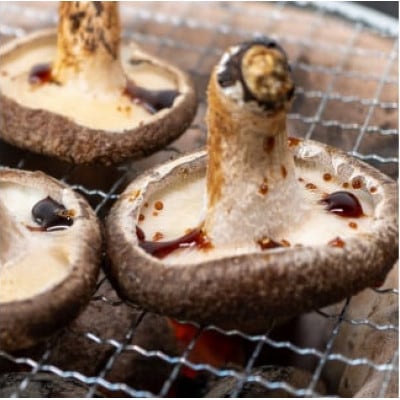 しいたけ本来の味を伝えたい!採ってすぐにこだわった　焼山しいたけ　500g