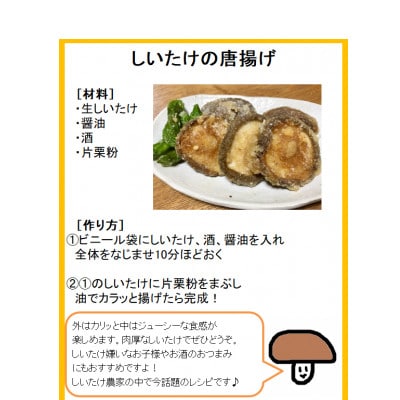 しいたけ本来の味を伝えたい!採ってすぐにこだわった　焼山しいたけ　500g