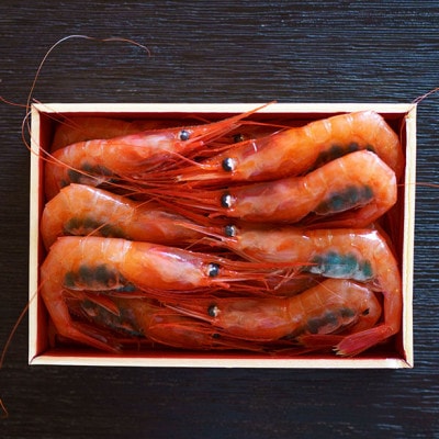 際立つ甘さと鮮やかさ『甘エビ』500g(250×2パック) 約35尾 糸魚川産