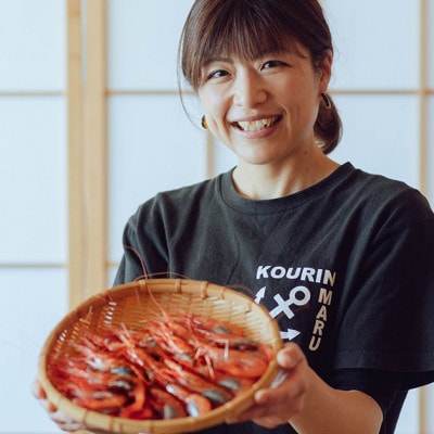 際立つ甘さと鮮やかさ『甘エビ』500g(250×2パック) 約35尾 糸魚川産
