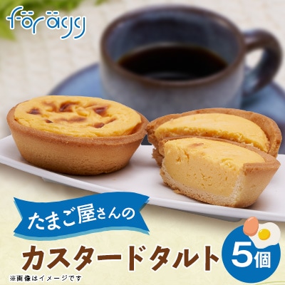 カスタードタルト　5個入り
