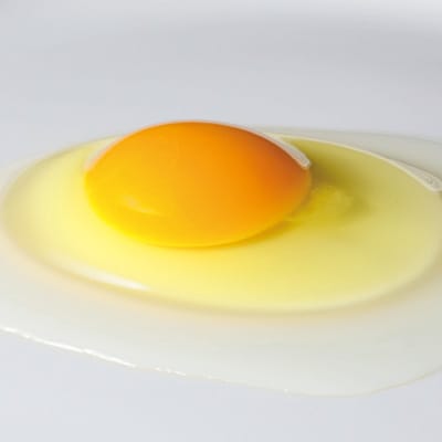 たまご屋さんの贅沢たまごプリン 5個入り