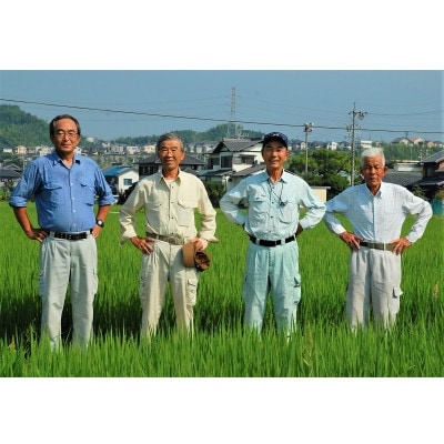 地域慣行普通栽培コシヒカリ 精白米 10kg