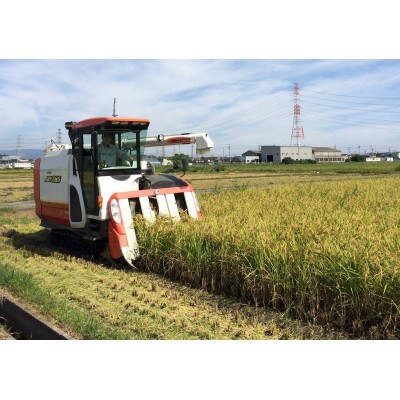 地域慣行普通栽培コシヒカリ 玄米 10kg