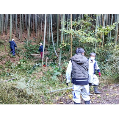 朝日町の里山から届く　朝掘りたけのこ　4kg