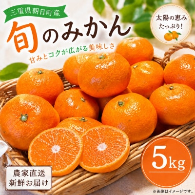朝日町の太陽が育てた旬のみかん 約5kg　サイズ混合【2026年11月下旬より発送】