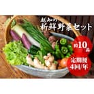 越知産市の季節の野菜セット(年4回発送)　産地直送　旬野菜
