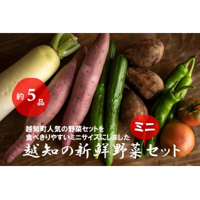 越知産市の季節の野菜ミニセット　産地直送　旬野菜