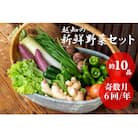 越知産市の季節の野菜セット(年6回発送) 奇数月　産地直送　旬野菜