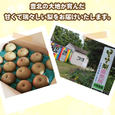 【先行受付】 梨 5kg 8玉 ～ 16玉 8月発送 訳あり 下関 山口 KC001-08