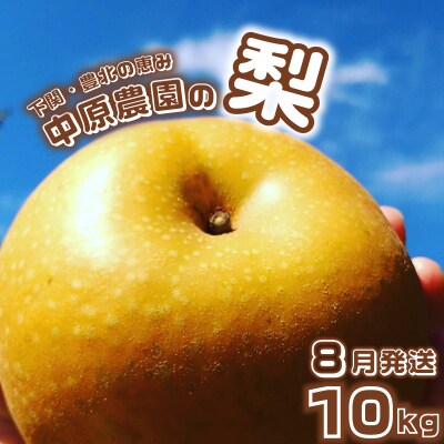 【先行受付】 梨 10kg 20玉 ～ 32玉 8月発送 訳あり 下関 山口 KC002-08