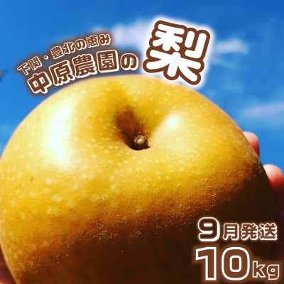 【先行受付】 梨 10kg 20玉 ～ 32玉 9月発送 訳あり 下関 山口 KC002-09