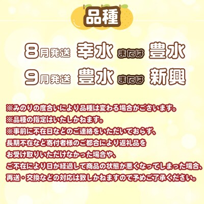 【先行受付】 梨 10kg 20玉 ～ 32玉 9月発送 訳あり 下関 山口 KC002-09