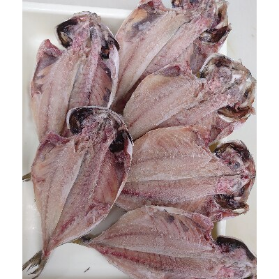 【2023年3月下旬発送】魚栄の天日干し あじのひらき6枚