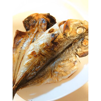 【2023年3月下旬発送】魚栄の天日干し あじのひらき6枚