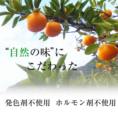 栽培期間農薬を減らしたみかんだけを皮ごとしぼった本物志向の三ケ日みかんジュース(180ml×10本)