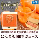 人参100%の無添加にんじんジュース(100cc×30パック)栽培期間中農薬化学肥料不使用のニンジン