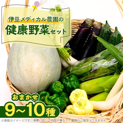 伊豆メディカル農園の健康野菜セット