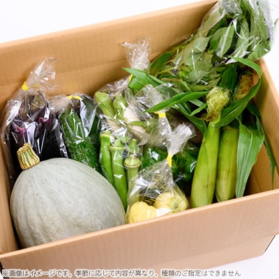伊豆メディカル農園の健康野菜セット
