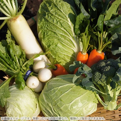 伊豆メディカル農園の健康野菜セット
