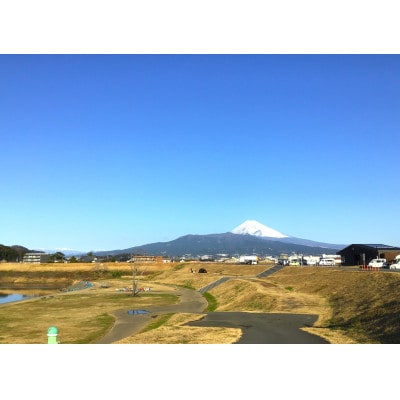 川の駅　伊豆ゲートウェイ函南　キャンプ利用券(5,000円分)