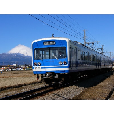 伊豆箱根鉄道駿豆線(三島駅～修善寺駅)を走る普通電車のオリジナルつり革 (函南町:丹那牛乳)14日間