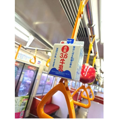 伊豆箱根鉄道駿豆線(三島駅～修善寺駅)を走る普通電車のオリジナルつり革 (函南町:丹那牛乳)14日間