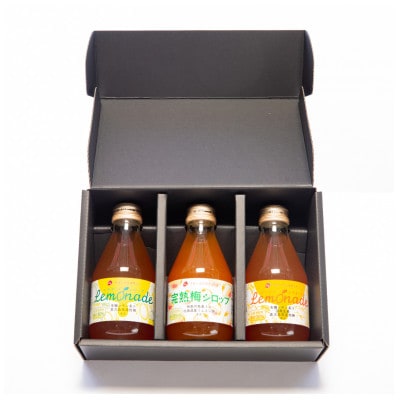 無添加ドリンクシロップ3種セット