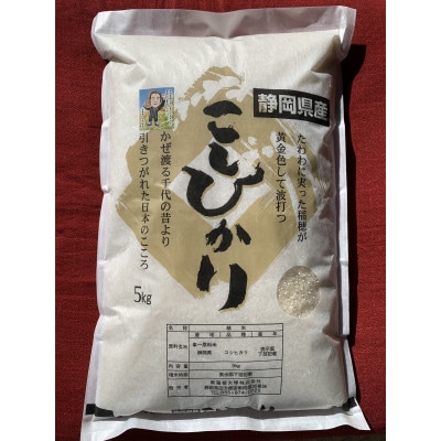 令和6年産　静岡県産　コシヒカリ　精米5kg