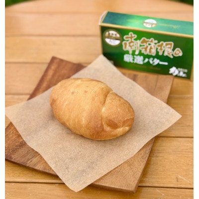 はるはる　おまかせパン10個セット(函南ブランド認定品入り)