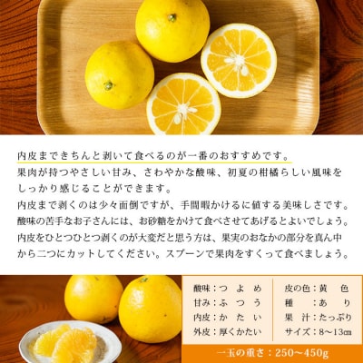 <無茶々園のジューシーフルーツ(河内晩柑)5kg>　果物　フルーツ　柑橘　愛媛　期間限定