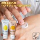 <柑橘生まれのハンドクリーム詰め合わせ　5個>　 精油 保湿 しっとり うるおい 果皮エキス　愛媛