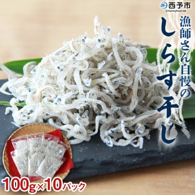 <漁師さん自慢のしらす干し1kg(使いやすい小分けパック!!)>　ちりめん　魚　西予市　おつまみ　