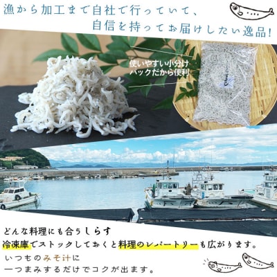 <漁師さん自慢のしらす干し1kg(使いやすい小分けパック!!)>　ちりめん　魚　西予市　おつまみ　