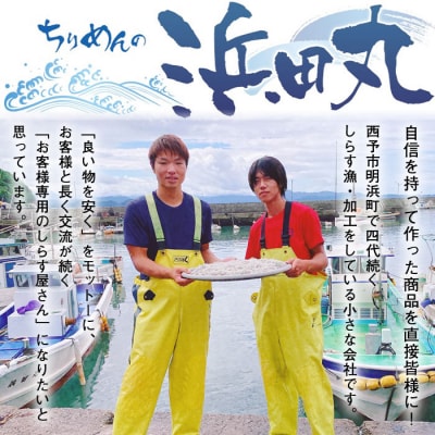 <漁師さん自慢のしらす干し1kg(使いやすい小分けパック!!)>　ちりめん　魚　西予市　おつまみ　