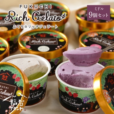 ふくち☆リッチジェラート ミドル(9個セット)