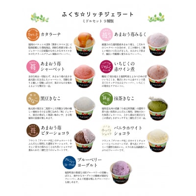 ふくち☆リッチジェラート ミドル(9個セット)
