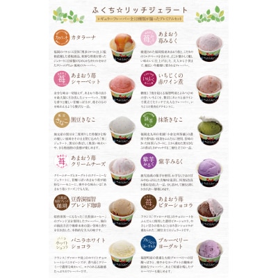 ふくち☆リッチジェラート プレミアム(12個セット)