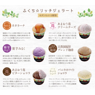 ふくち☆リッチジェラート モダン(6個セット)