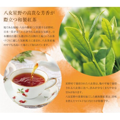 八女星野産 和紅茶150パック(2g×10個入×15袋)