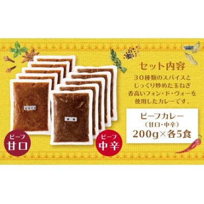 みろくのカレー10食(甘口5食・中辛5食)