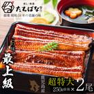 老舗たちばな　鰻蒲焼(250g前後)×2尾