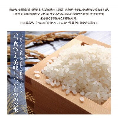 令和7年産 無洗米 元気つくし10kg