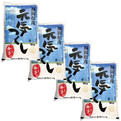 令和7年産 無洗米 元気つくし20kg