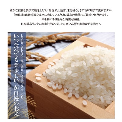 無洗米 元気つくし5kg