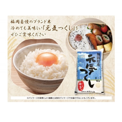 無洗米 元気つくし5kg