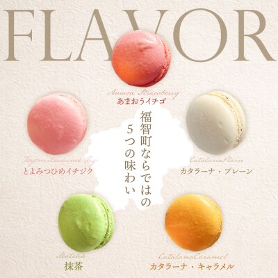 ふくち☆リッチマカロン(10個詰合せ)