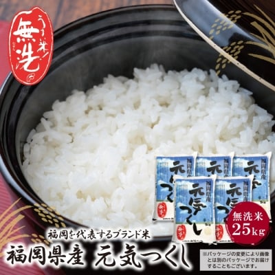 令和7年産 無洗米 元気つくし25kg